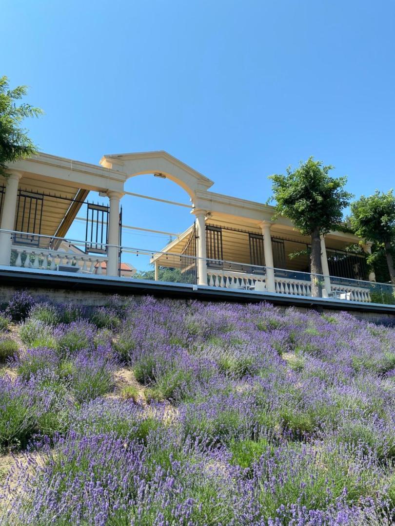 La Gioconda Boutique Hotel オデッサ エクステリア 写真